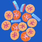 Bananes - œuvre de Catherine KIRCHHOFF - CEKF15