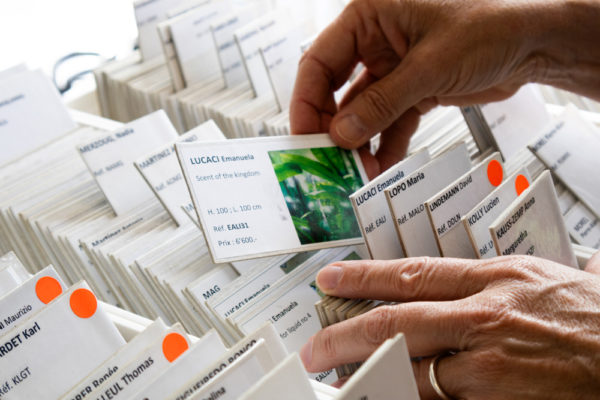 Coorart-IMG_5006_retouched-SD