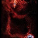 Une rose dans l'oeil de la licorne - oeuvre de David Lindemann DDLN2-SD