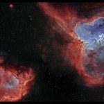 Le tandem parfait - oeuvre de David Lindemann DDLN5-SD