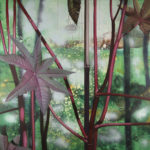 Oeuvre de Emanuela LUCACI - EALI29