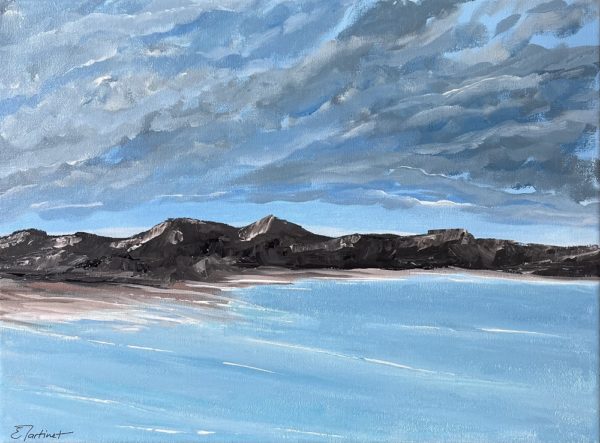 Côte sauvage - Œuvre d'Esther MARTINET - ERMT15