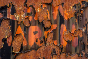 South Georgia Street art - oeuvre de Frank west FKWT19-SD