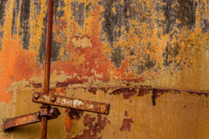 South Georgia painting - oeuvre de Frank West FKWT20-SD