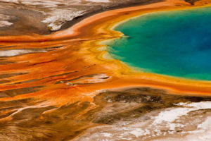 YE01-13 - oeuvre de Frank West FKWT7