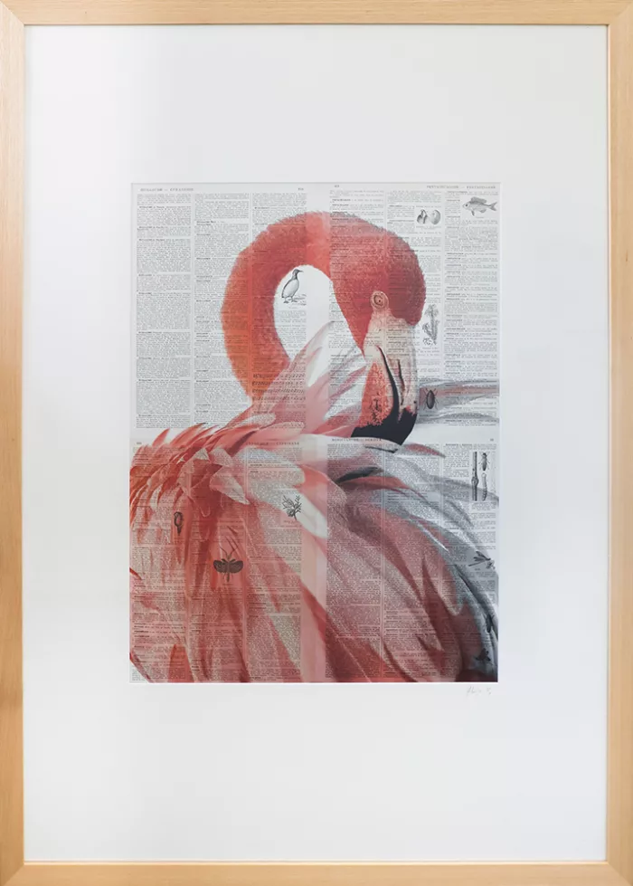 Artemia Grande - œuvre de Hyper Super - HRSR13