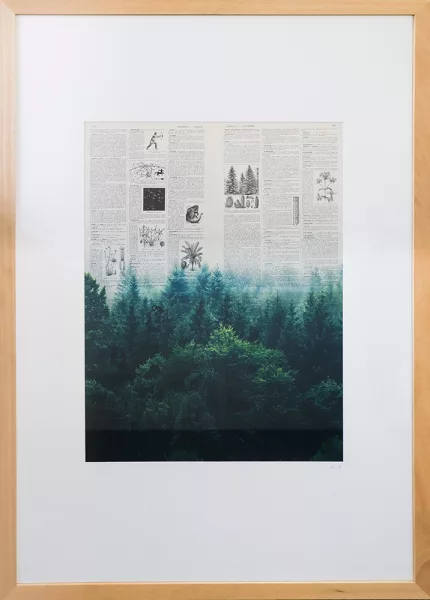 Orée - œuvre de Hyper Super - HRSR14