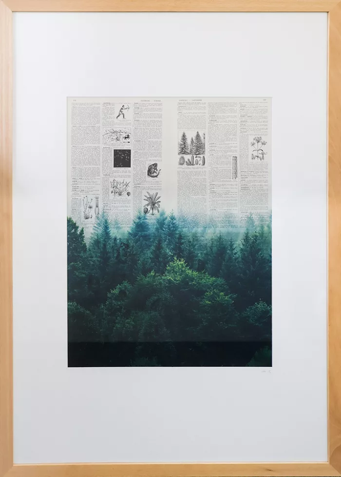 Orée - œuvre de Hyper Super - HRSR14