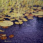 Nénuphars - œuvre de Jacqueline Bachmann JEBN31