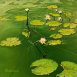 Water Lily- œuvre de Jacqueline Bachmann JEBN33