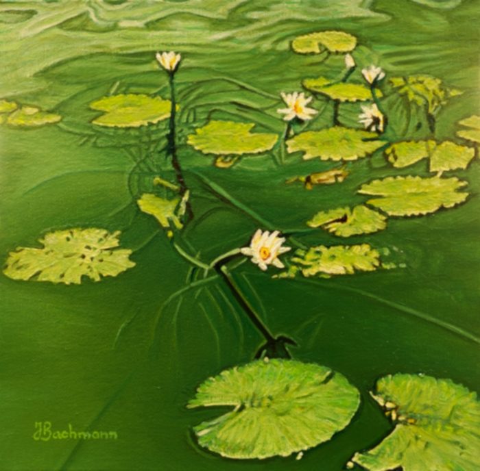 Water Lily- œuvre de Jacqueline Bachmann JEBN33