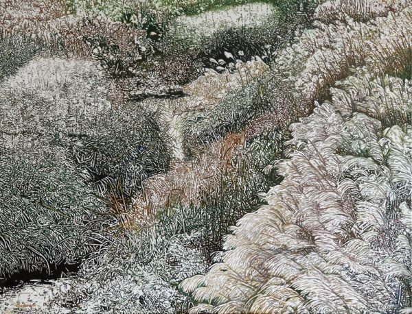 Tapis broussailleux - Œuvre de Jacqueline BACHMANN - JEBN34