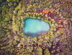 Oasis-Nyon - oeuvre de Lucien Kolly LNKY1-SD