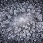 Sylve-Chéserex - oeuvre de Lucien Kolly LNKY2-SD