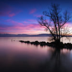 Tannay - oeuvre de Lucien Kolly LNKY3-SD