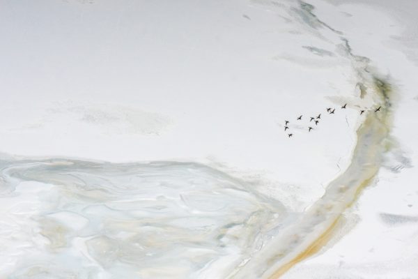 Lac du Vernex (VD) #1 - œuvre de Laurent SCIBOZ - LTSZ12