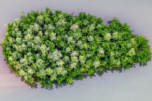 Lac de Schiffenen (FR) #2 - œuvre de Laurent SCIBOZ - LTSZ14