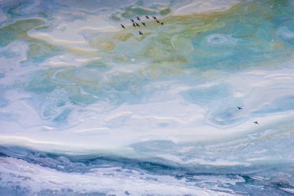 Lac du Vernex (VD) #2 - œuvre de Laurent SCIBOZ - LTSZ16