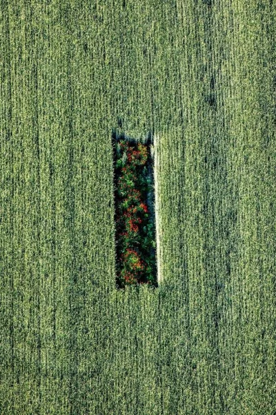 Singine - œuvre de Laurent SCIBOZ - LTSZ8