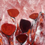 Bord de chemin - oeuvre de Renée Furrer REFR65_SD