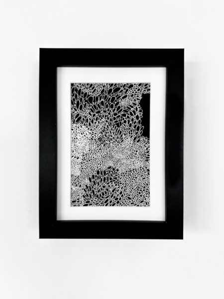 Burbujas 1 – œuvre de Silvia Ronco – SARO23