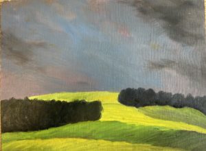 Tempête sur colza 2 - oeuvre de Carole Christinat Venhard - CECTVD25